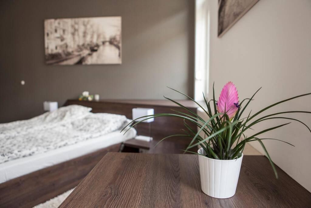 Apartment Downtown Ulloi 3 Budapest Esterno foto